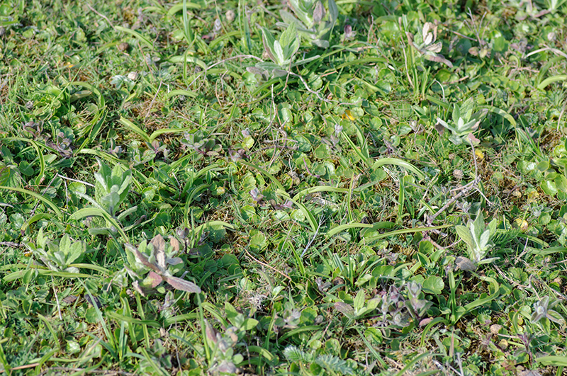 DSC_7961.jpg