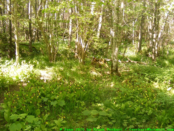 DSCF1370.JPG