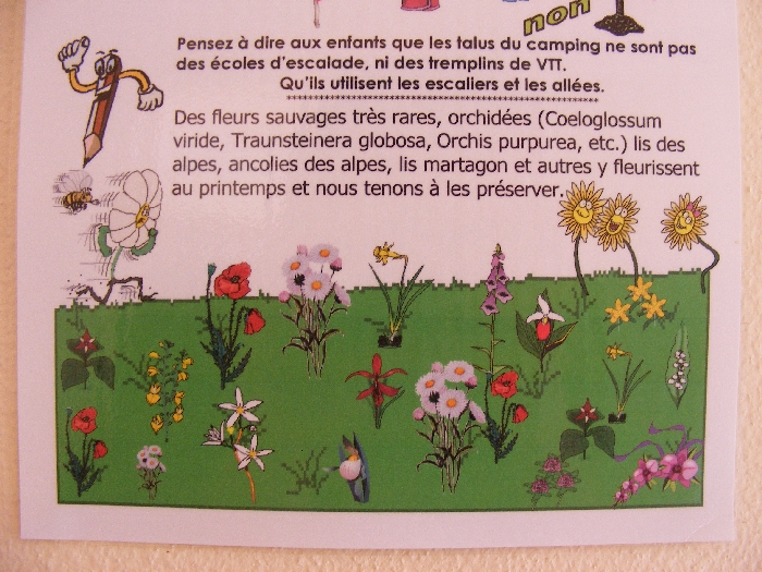 DSCF2551.JPG
