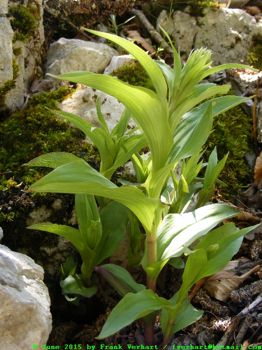 DSCF1615.JPG