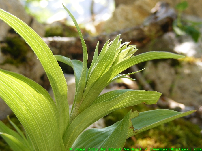 DSCF1616.JPG