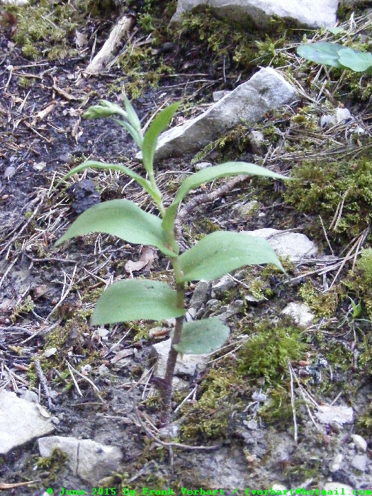 DSCF1852.JPG