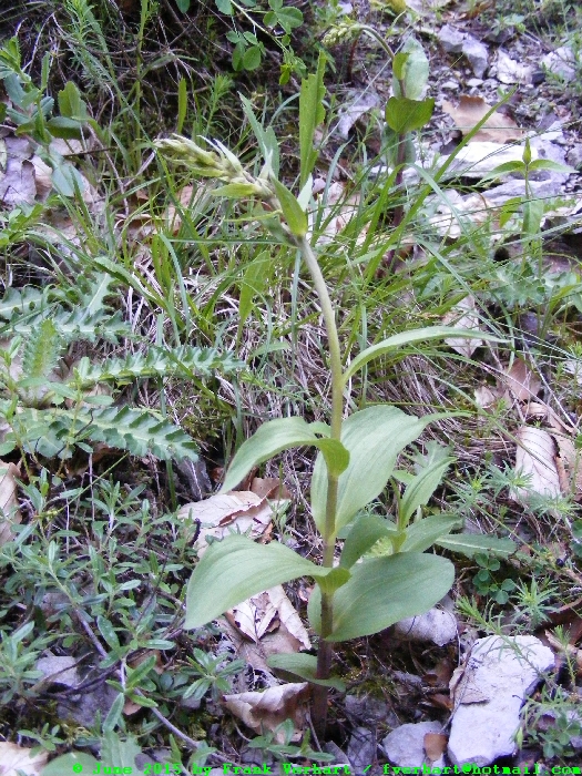 DSCF1835.JPG