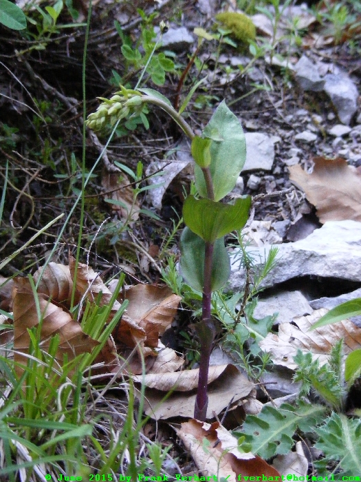 DSCF1837.JPG