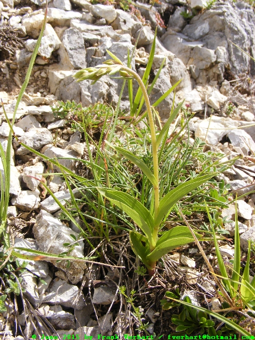 DSCF1871.JPG