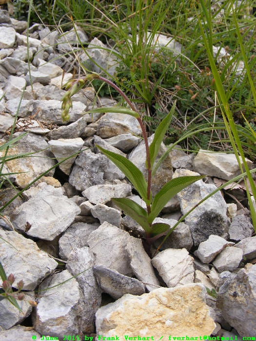 DSCF1872.JPG