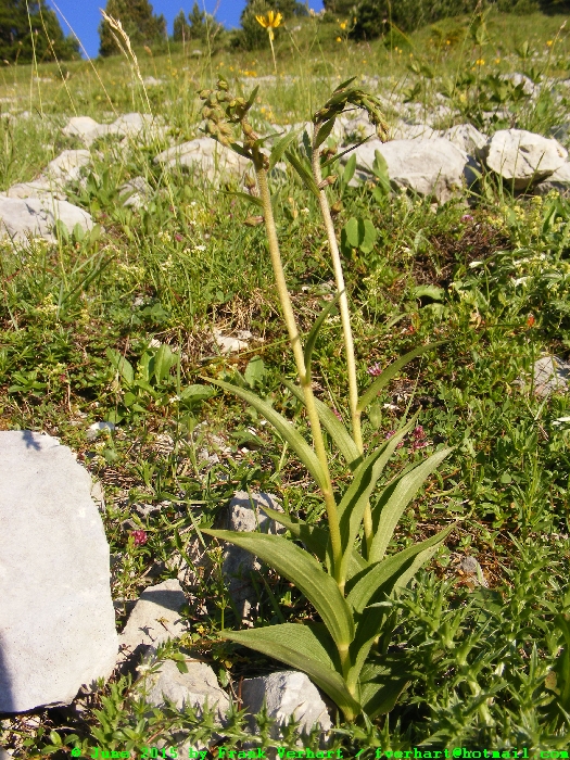DSCF2004.JPG