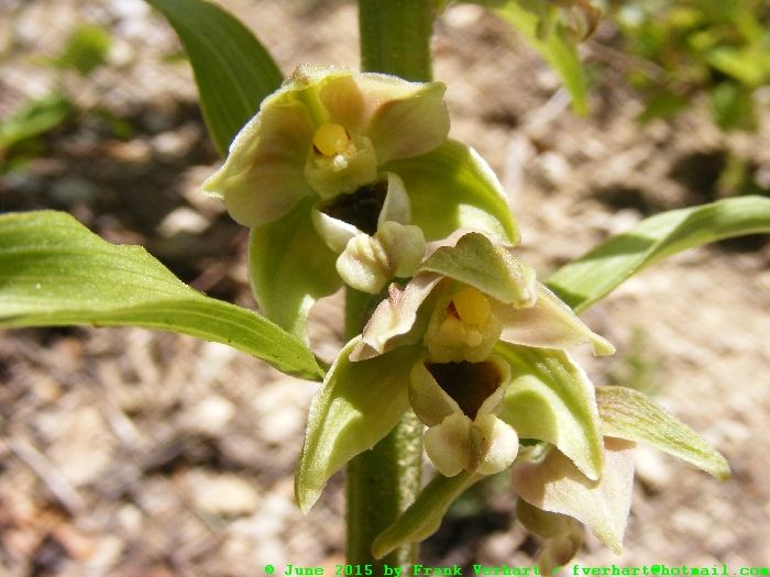 DSCF2235.JPG