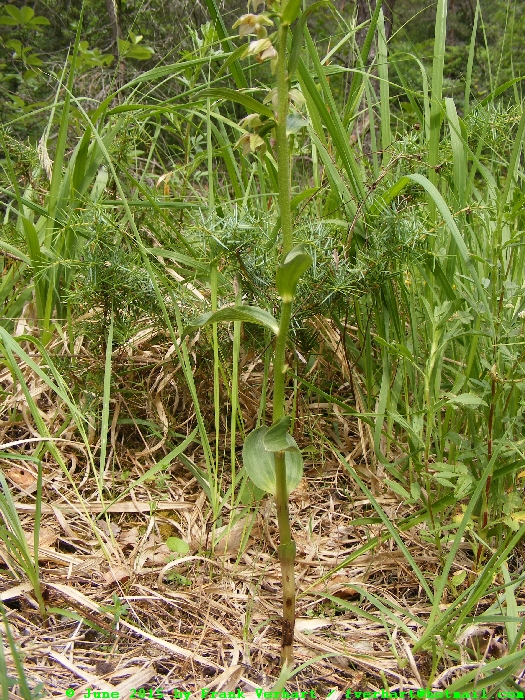DSCF2271.JPG