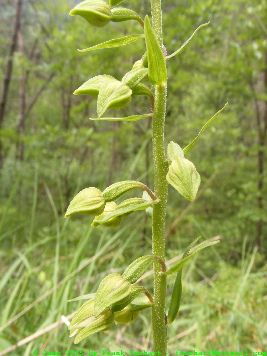 DSCF2273.JPG