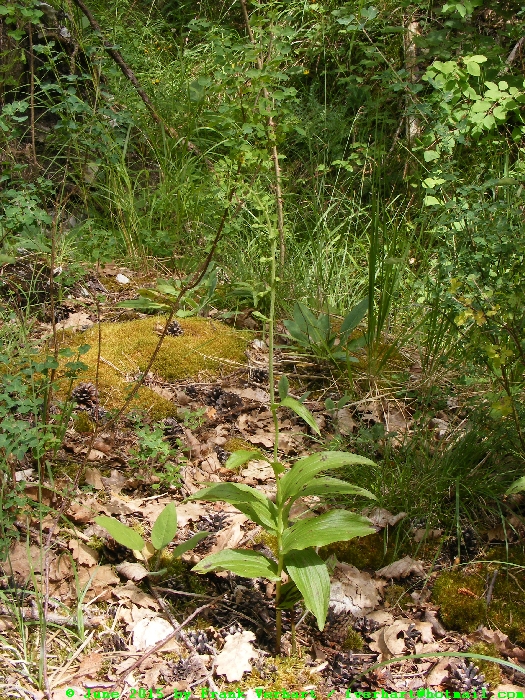 DSCF2280.JPG
