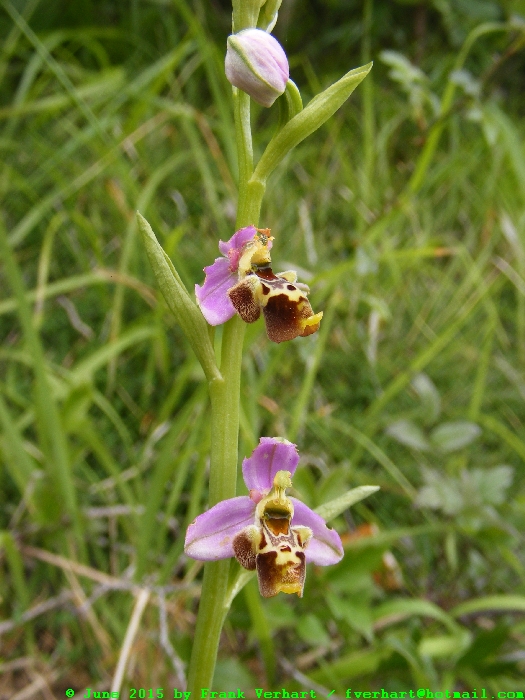 DSCF2297.JPG