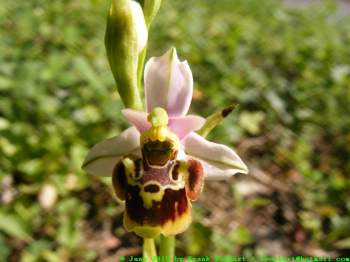 DSCF2362.JPG