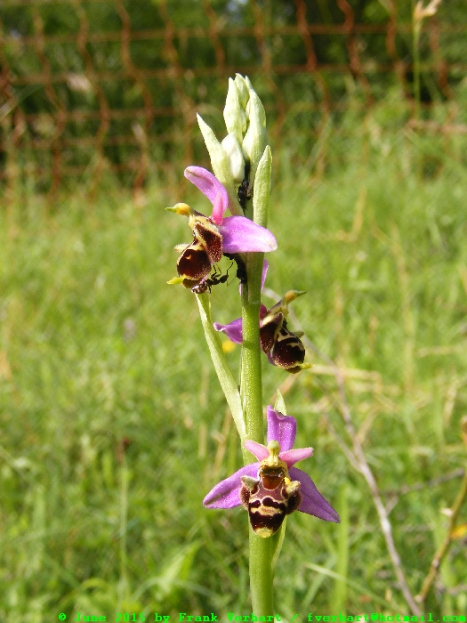 DSCF2512.JPG