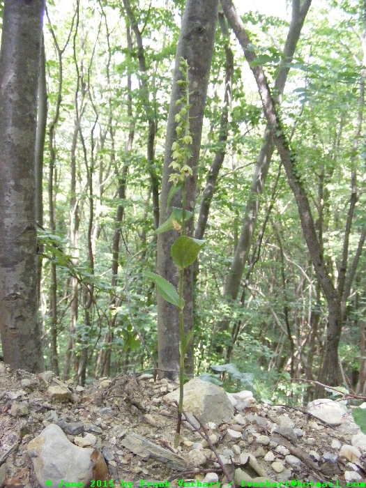 DSCF2573.JPG