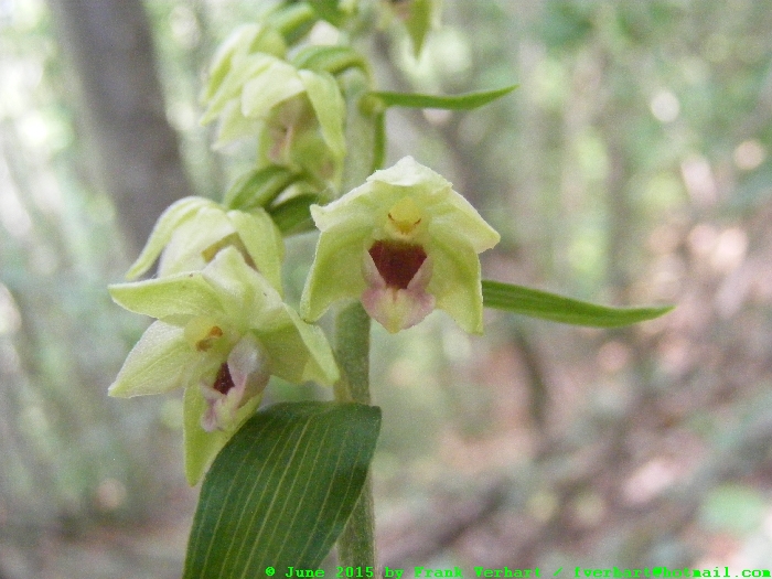 DSCF2575.JPG
