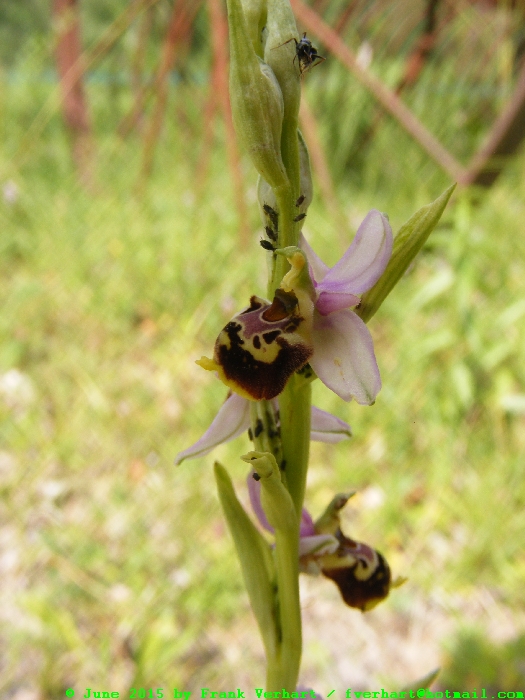 DSCF2613.JPG