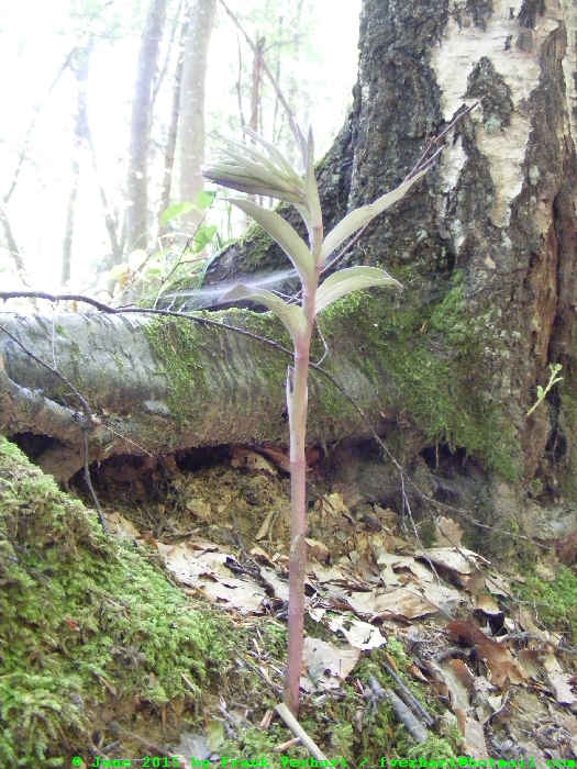 DSCF2624.JPG