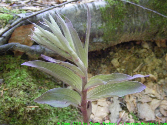 DSCF2625.JPG