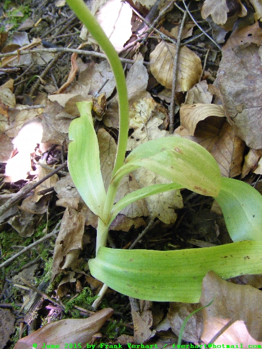 DSCF2630.JPG