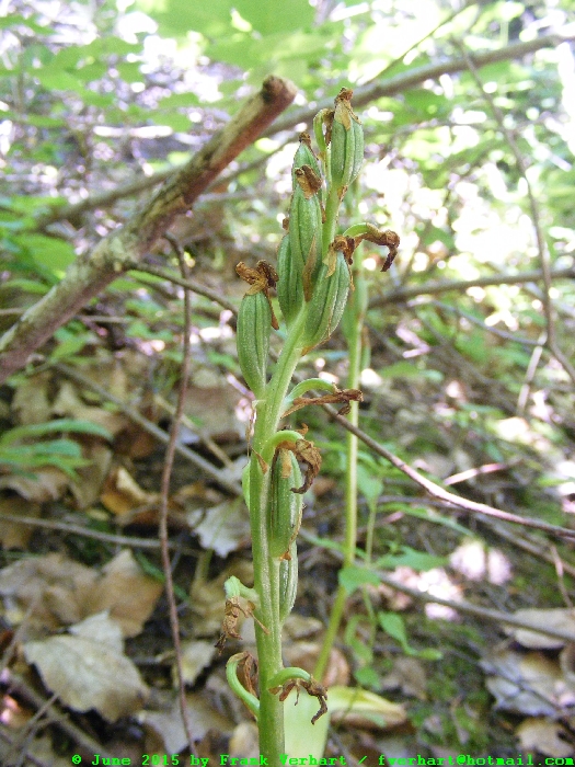 DSCF2631.JPG