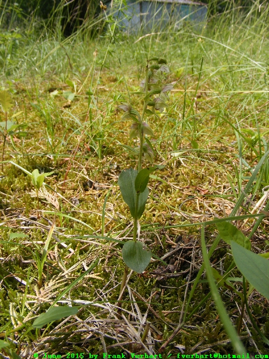 DSCF2582.JPG