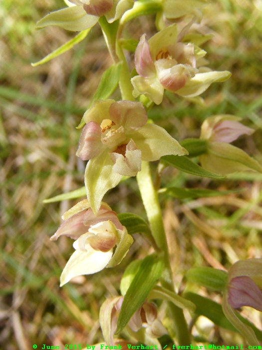 DSCF2588.JPG