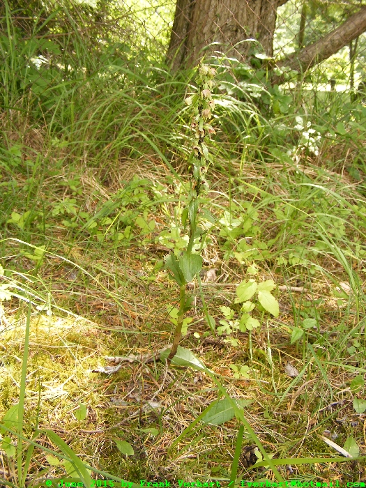 DSCF2593.JPG