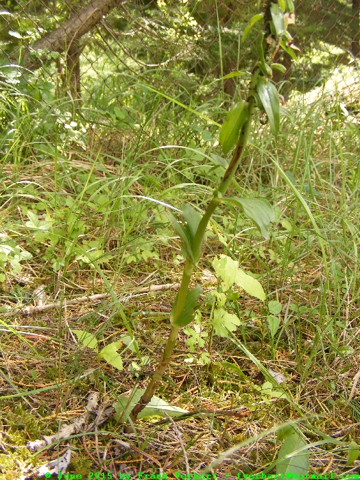 DSCF2594.JPG