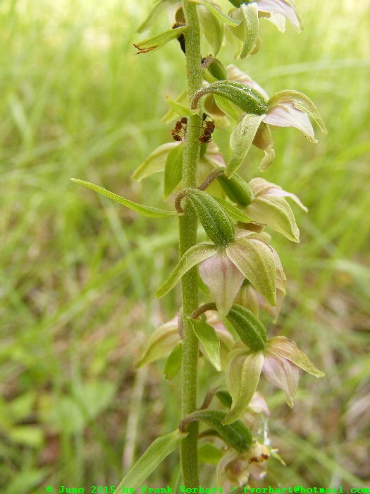 DSCF2596.JPG
