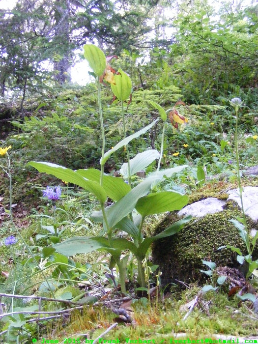 DSCF1853.JPG