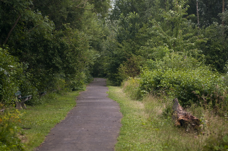 IMG56702_resize.jpg