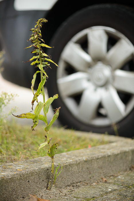 PW20150926_154820_LR5.jpg