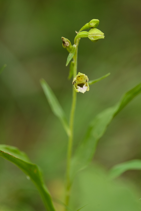 PW20150718_093904_02_LR5-2.jpg