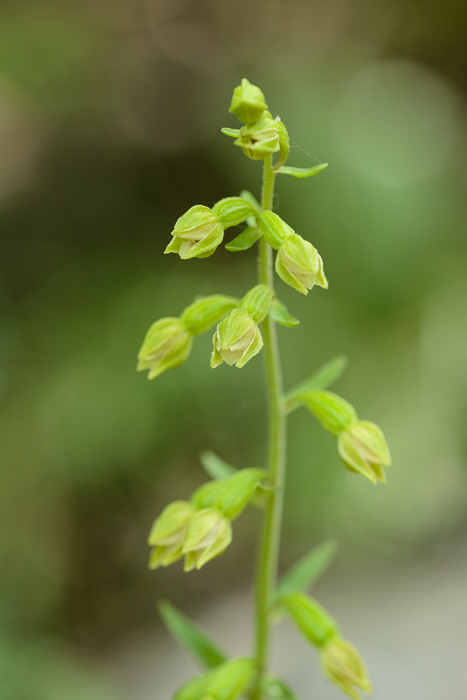 PW20150718_120326_01_LR5.jpg