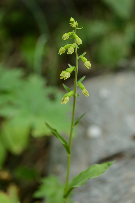 PW20150718_120314_LR5.jpg