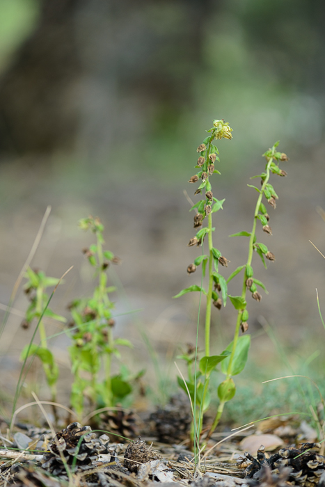 PW20150714_182634_LR5.jpg