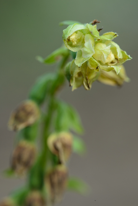 PW20150714_182431_LR5.jpg