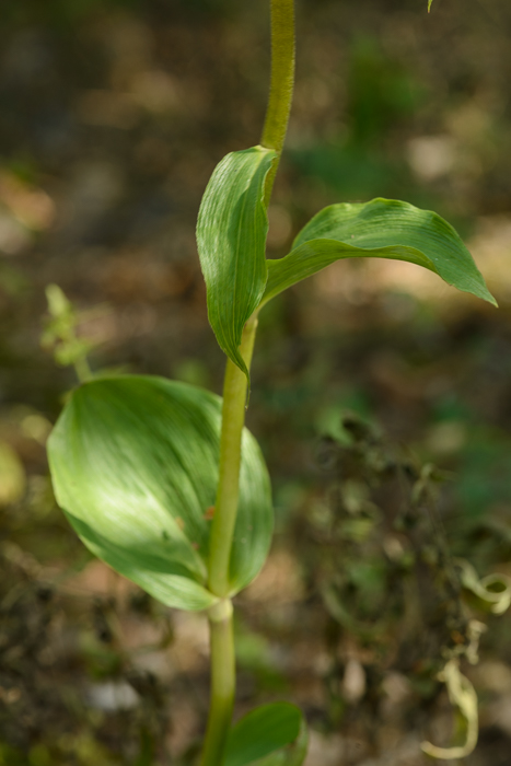 PW20150716_160703_LR5.jpg