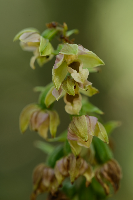 PW20150716_160604_LR5.jpg