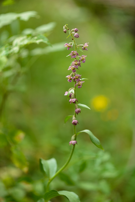 PW20150718_105349_LR5.jpg