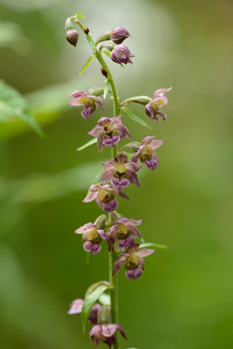 PW20150718_105247_LR5-2.jpg