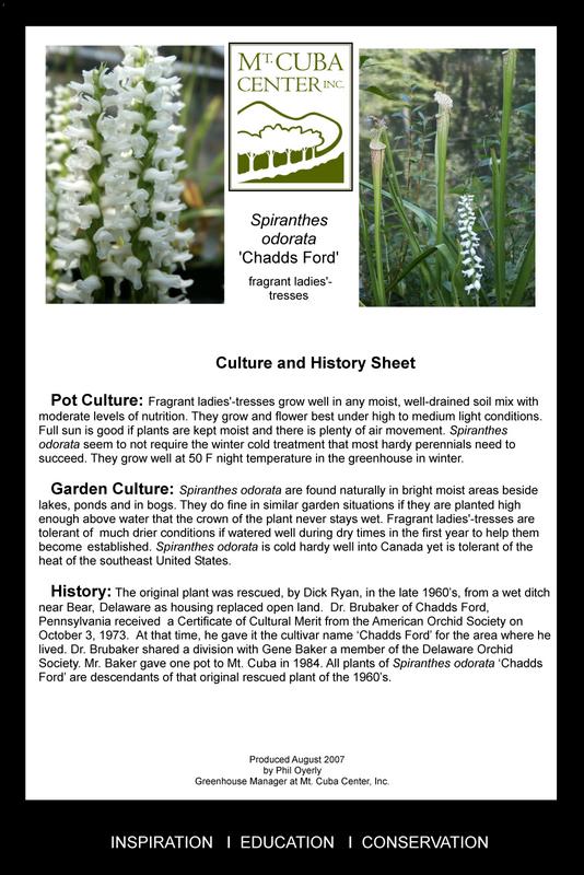 Spiranthes Culture and History Sheet.jpg