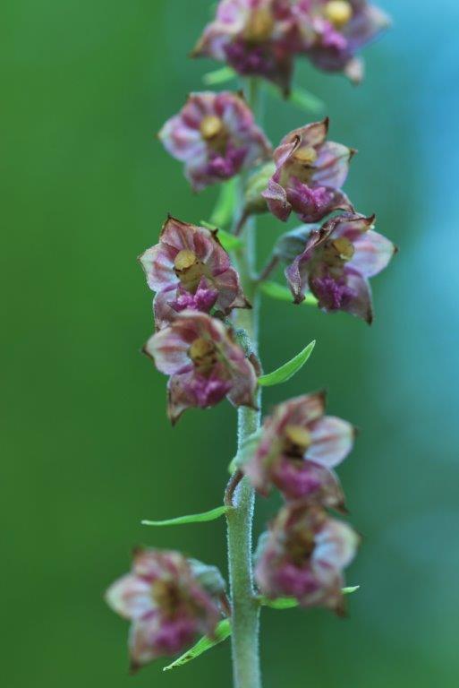 Franse Jura 1-10 augustus 2013 134.jpg