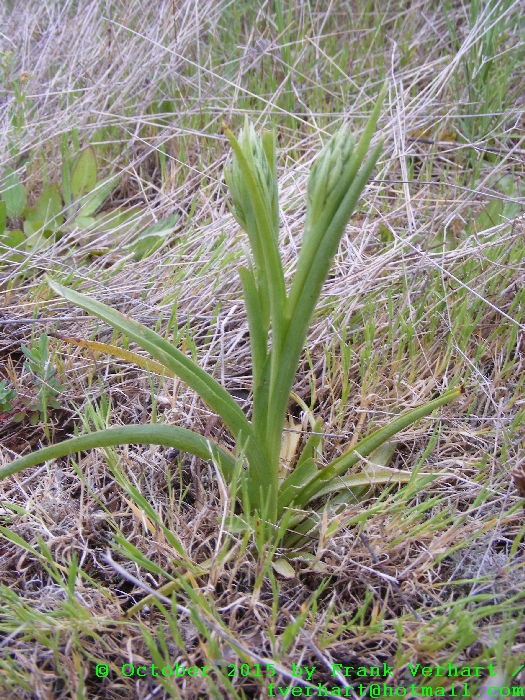 DSCF9516.JPG