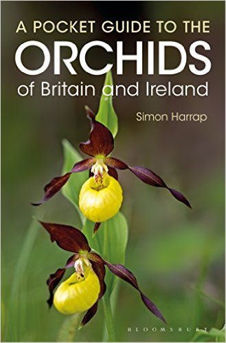 Copie foto Amazon.uk