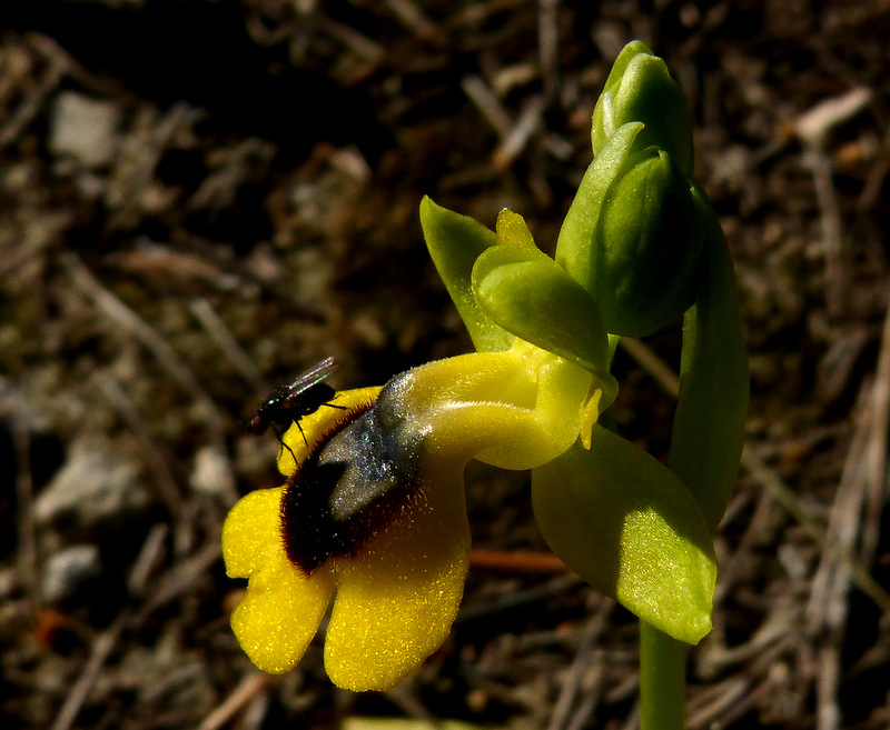 P1270230.JPG