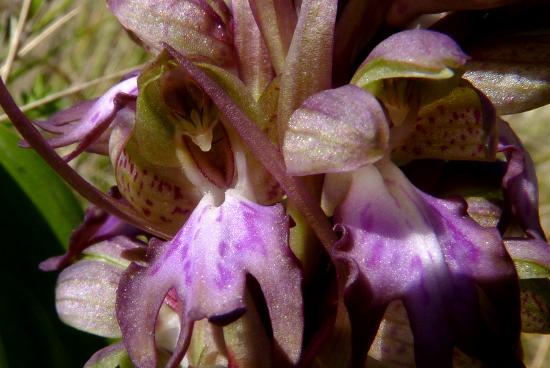 P1220396.JPG