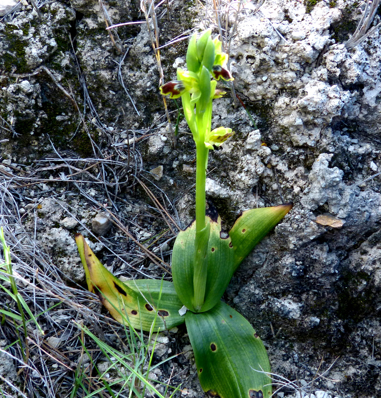 P1250826.JPG