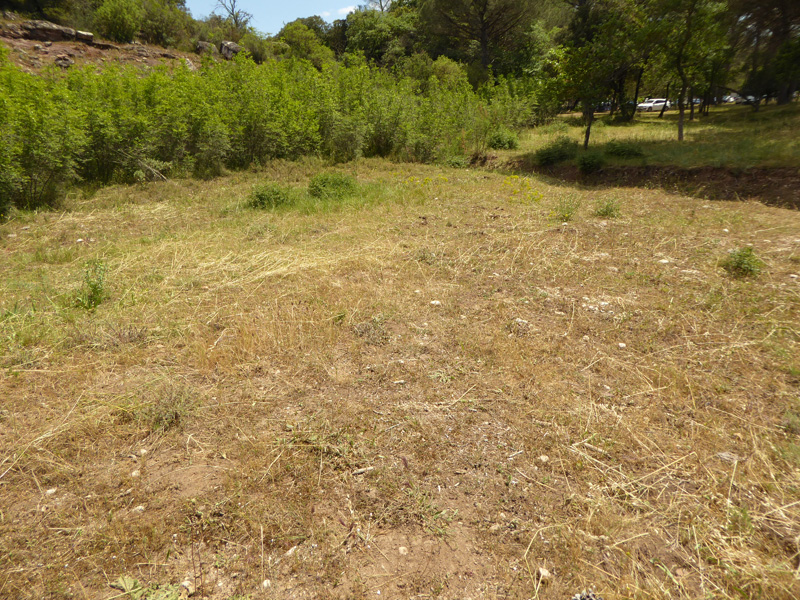 Situatie te laat, uitgegraven